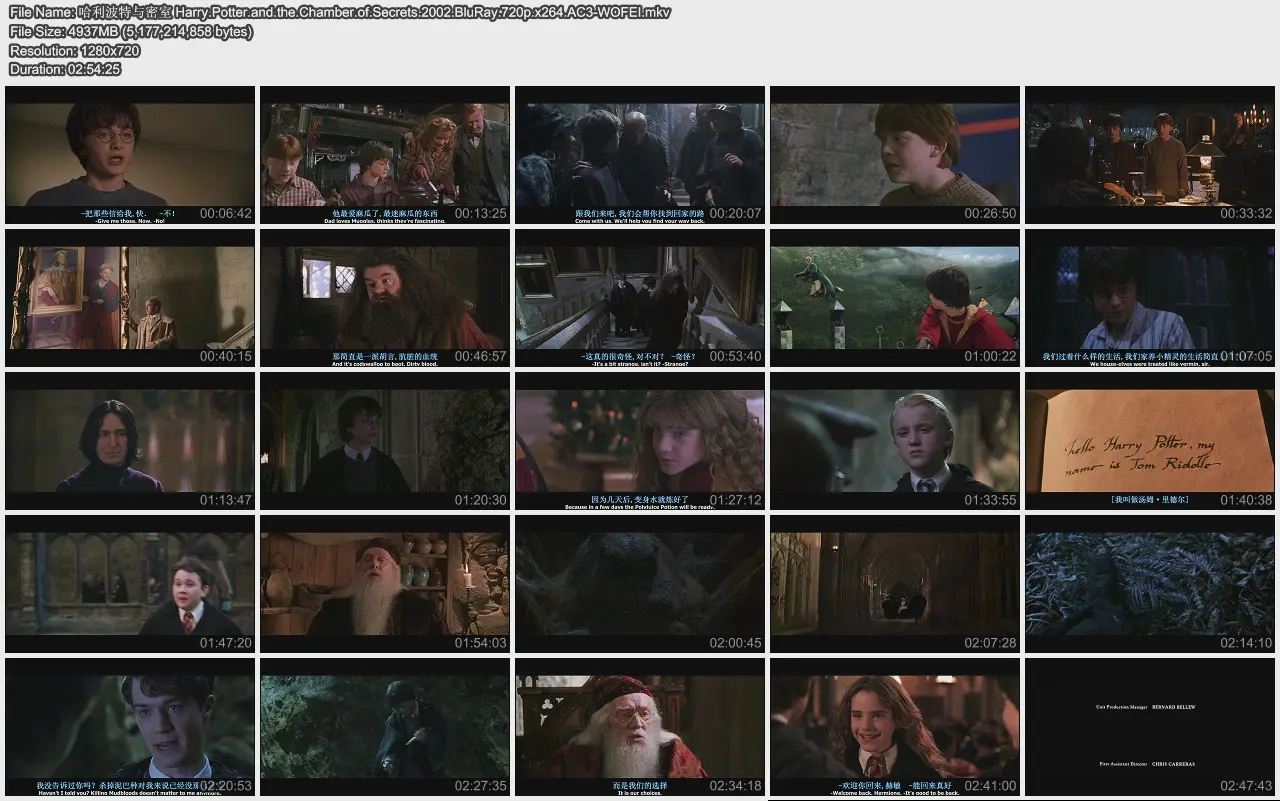 Harry.Potter.and.the.Chamber.of.Secrets.2002.BluRay.720p.x264.AC3-WOFEI.jpg