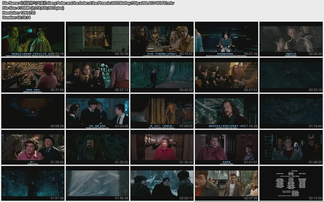  Harry.Potter.and.the.Order.of.the.Phoenix.2007.BluRay.720p.x264.jpg