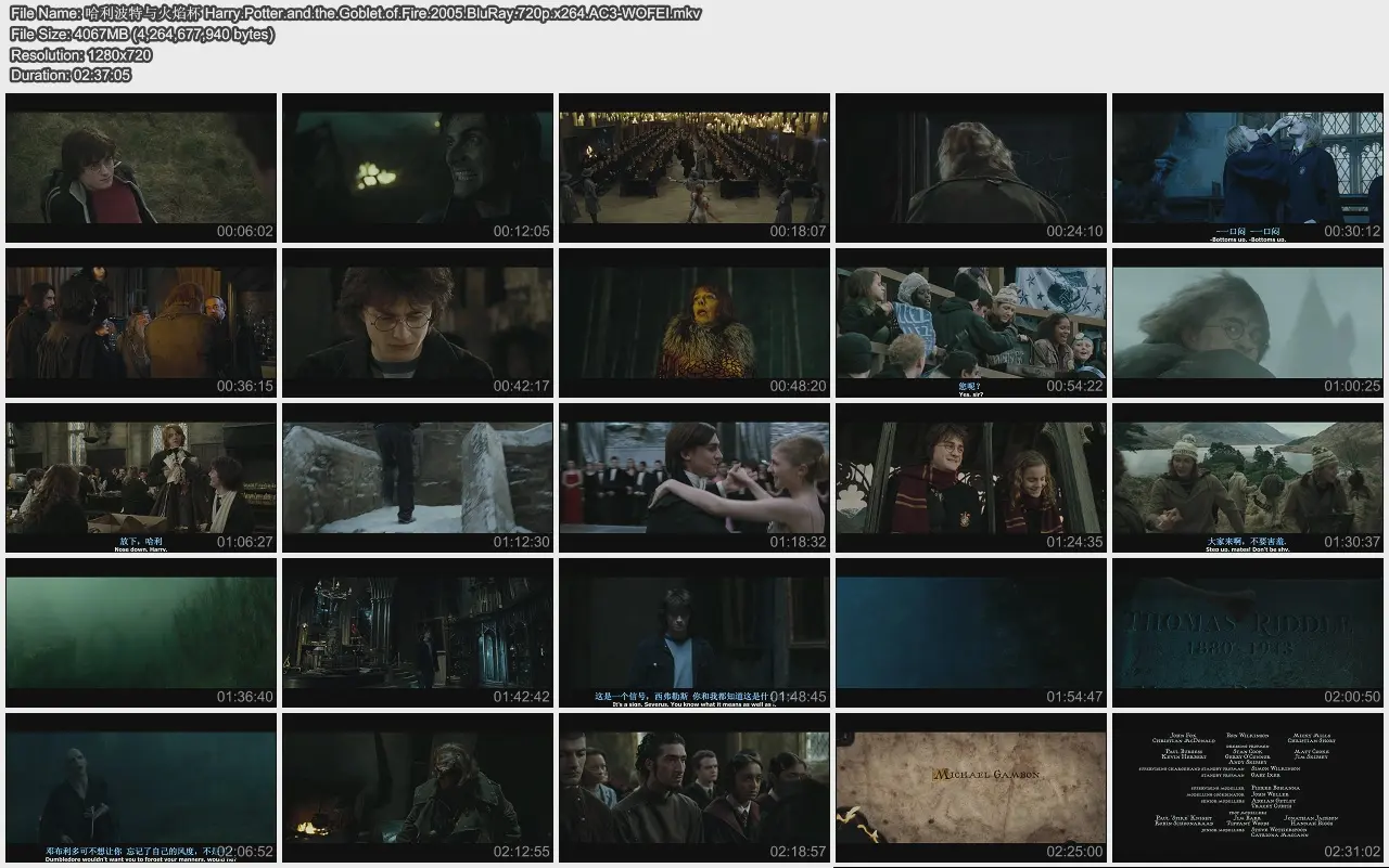 汭 Harry.Potter.and.the.Goblet.of.Fire.2005.BluRay.720p.x264.AC3-WOFEI.jpg