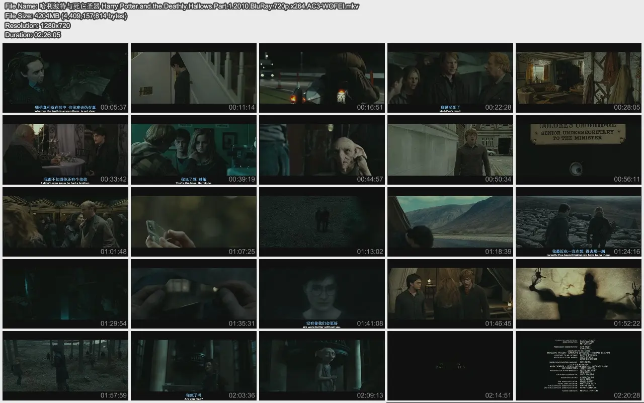 ʥ Harry.Potter.and.the.Deathly.Hallows.Part.1.2010.BluRay.720p..jpg